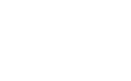 Investor 1